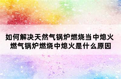 如何解决天然气锅炉燃烧当中熄火 燃气锅炉燃烧中熄火是什么原因